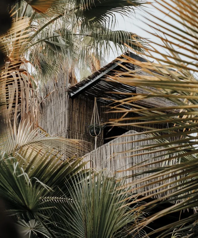 A thatched treehouse at Acre tucked high among palm fronds in San José del Cabo