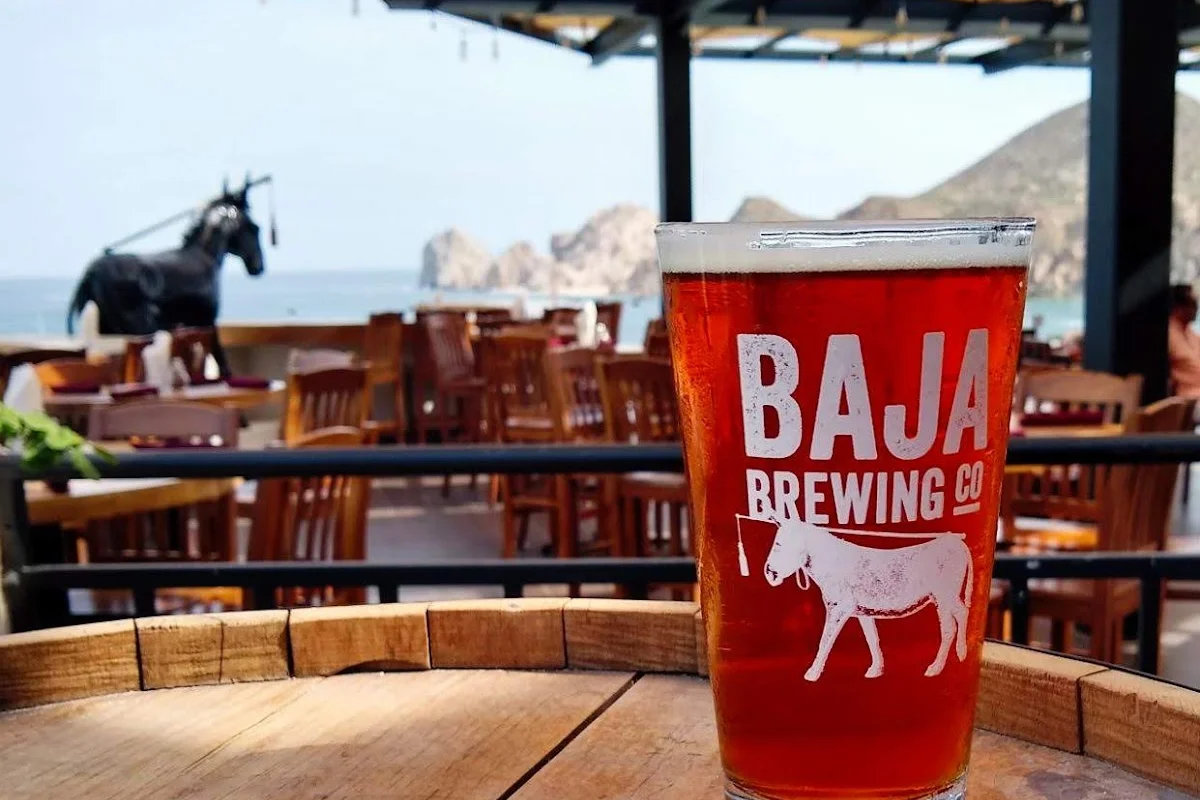 Baja Brewing